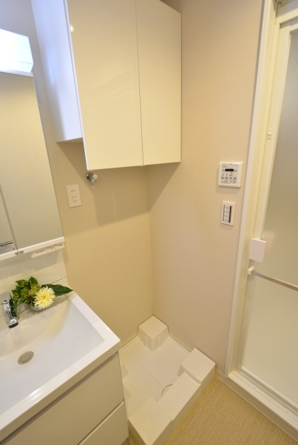 築地永谷コーポラス 洗面室