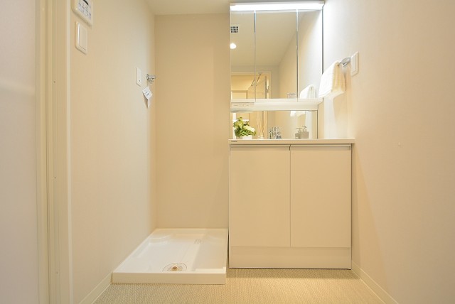 ダイアパレス自由ヶ丘 洗面