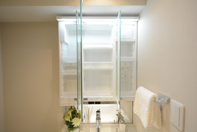 ダイアパレス自由ヶ丘 洗面