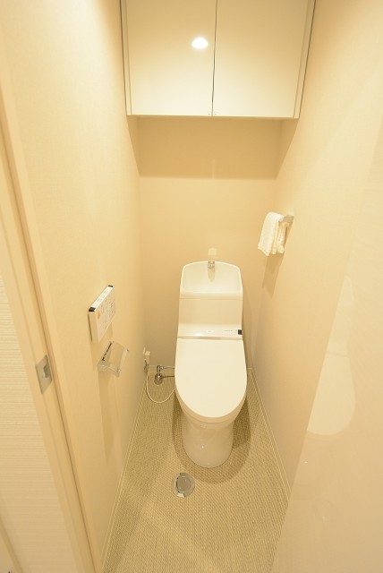 ダイアパレス自由ヶ丘 トイレ