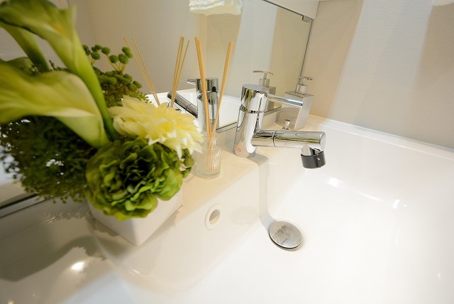 ダイアパレス自由ヶ丘 洗面