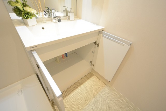 ダイアパレス自由ヶ丘 洗面