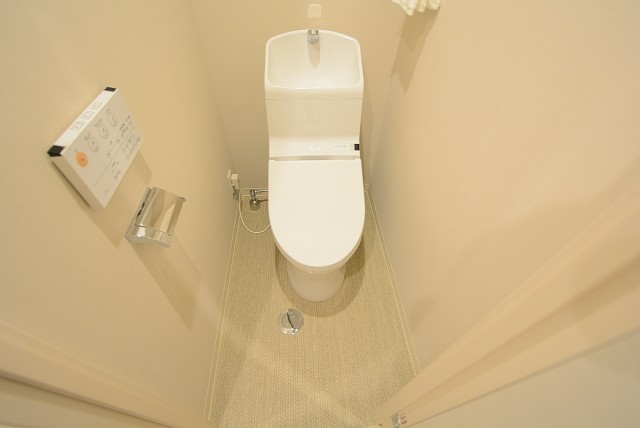 ダイアパレス自由ヶ丘 トイレ