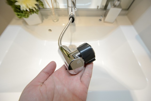 ダイアパレス自由ヶ丘 洗面