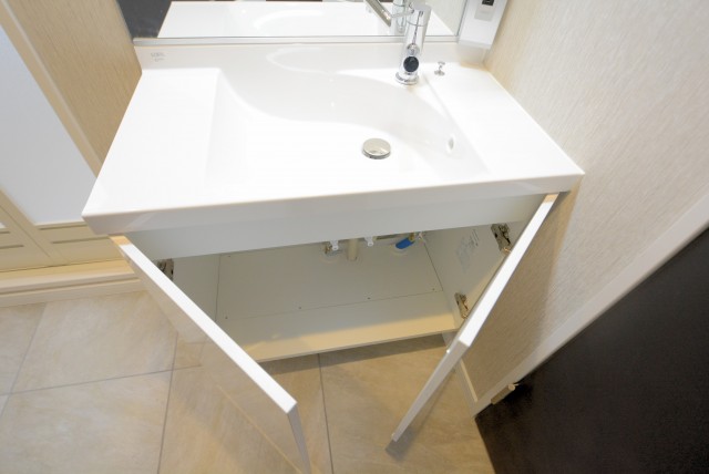 上馬ハイホーム (37)洗面