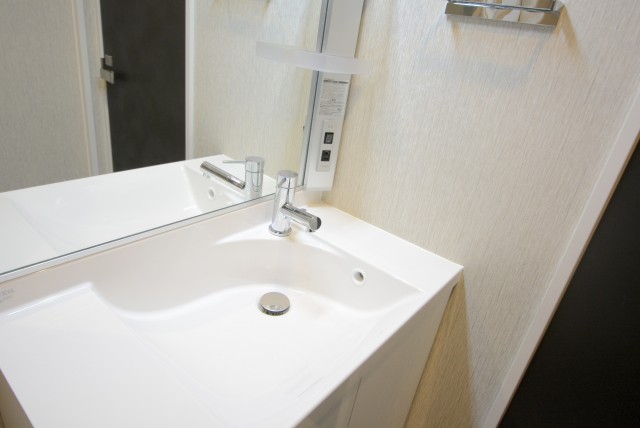 上馬ハイホーム (36)洗面