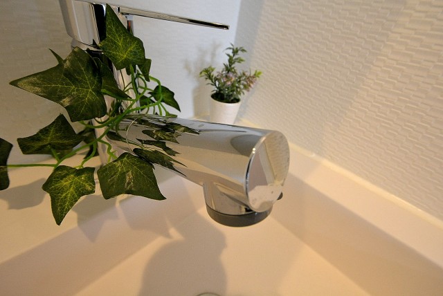 ビュラ田園調布307 洗面