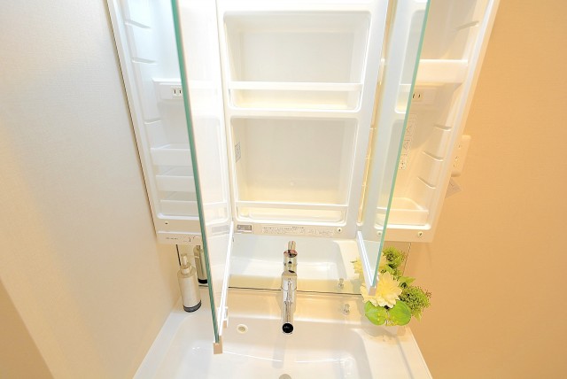 戸山ハイツ 洗面