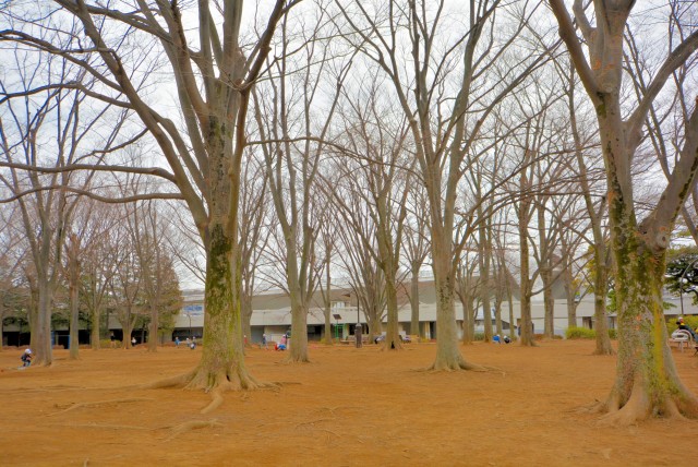 駒沢オリンピック公園