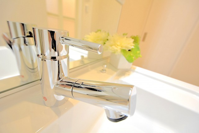 戸山ハイツ 洗面