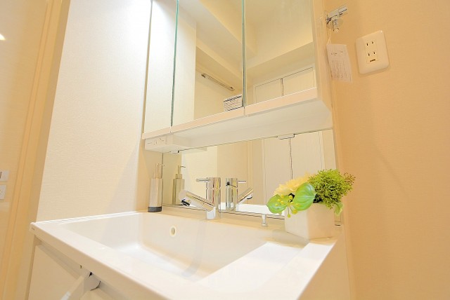 戸山ハイツ 洗面