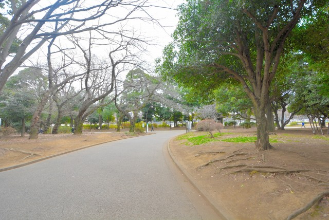 駒沢オリンピック公園