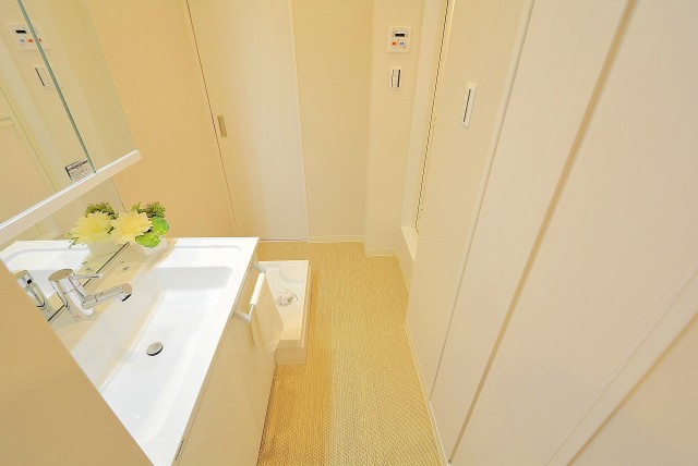 戸山ハイツ 洗面