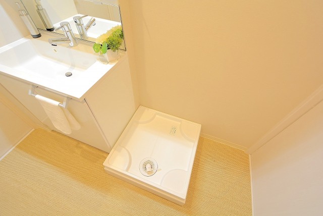 戸山ハイツ 洗面