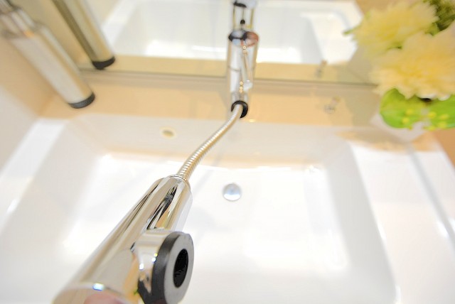 戸山ハイツ 洗面