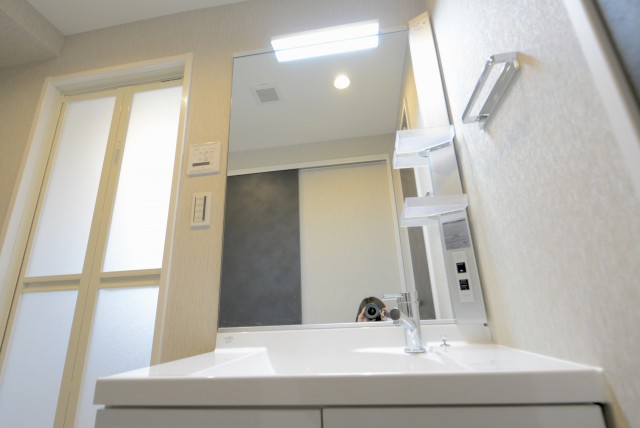 上馬ハイホーム (34)洗面