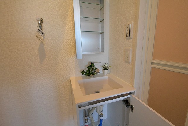 ビュラ田園調布307 洗面