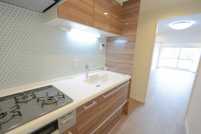 上馬ハイホーム キッチン