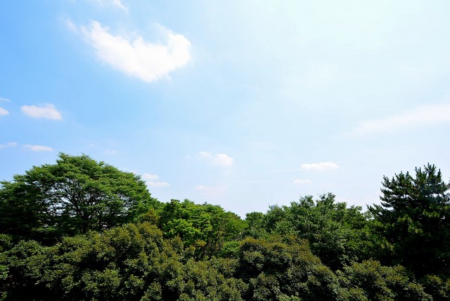 馬事公苑前ハイム 　バルコニー