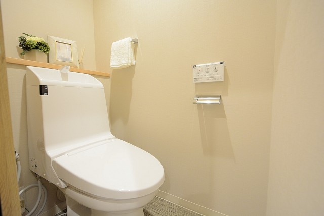 馬事公苑前ハイム 　トイレ