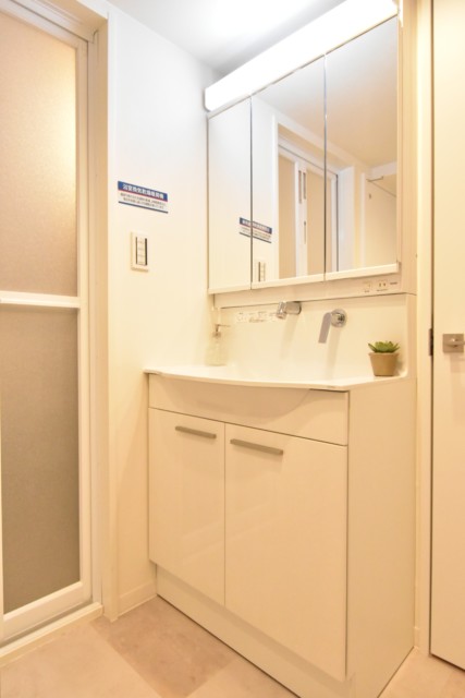 都立大第２コーポラス 洗面室