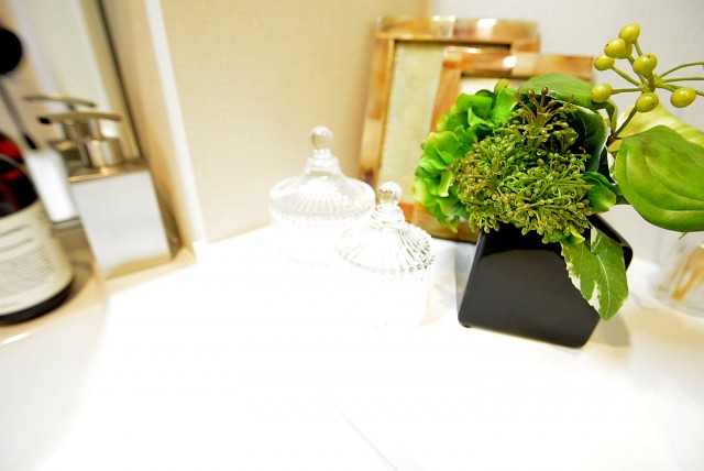 啓明宮前橋マンション 洗面