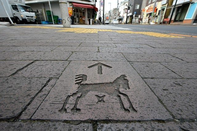 ライオンズマンション上用賀 周辺環境