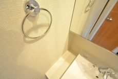 セボン柿の木坂 洗面