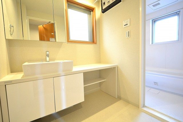 セボン柿の木坂 洗面