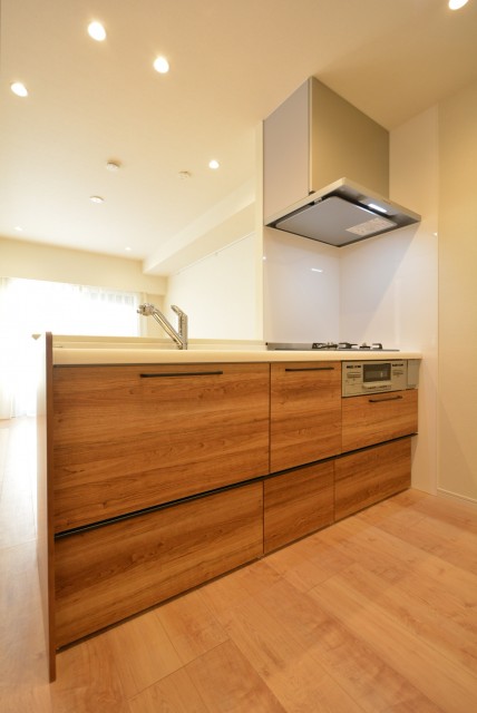 ライオンズマンション上用賀 キッチン