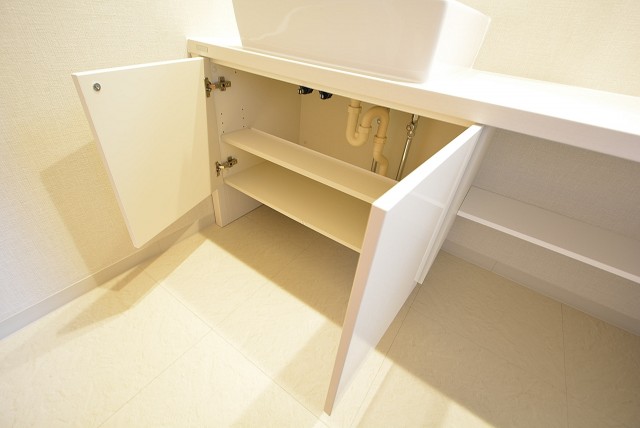 セボン柿の木坂 洗面