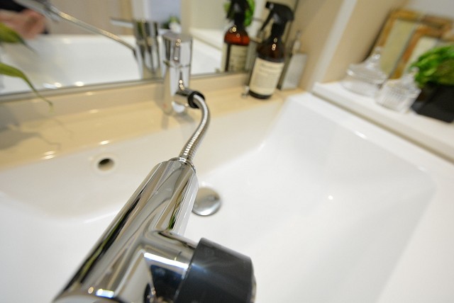 啓明宮前橋マンション 洗面