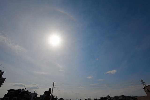 セボン柿の木坂 ルーフテラス