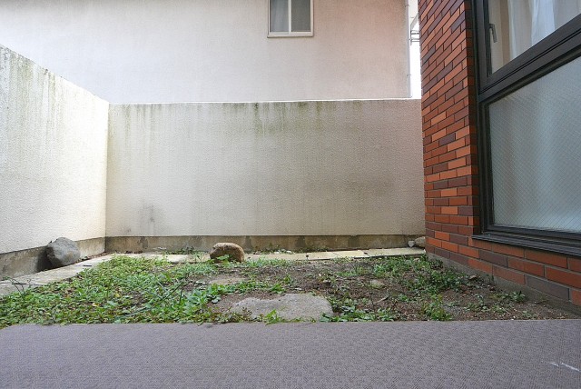 カルム桜新町パティオ LDK