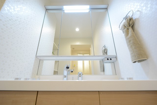 経堂セントラルマンション 　洗面