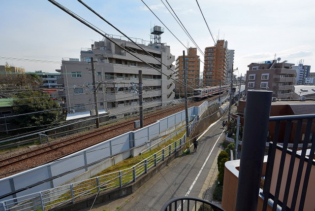 セボン柿の木坂 ルーフテラス