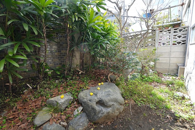 都立大第2コーポラス バルコニー