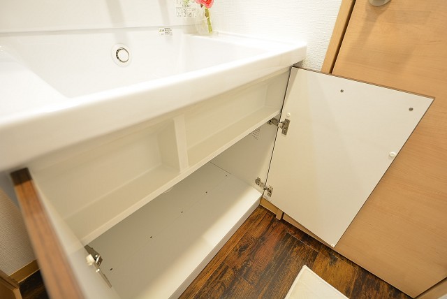 都立大第2コーポラス 洗面