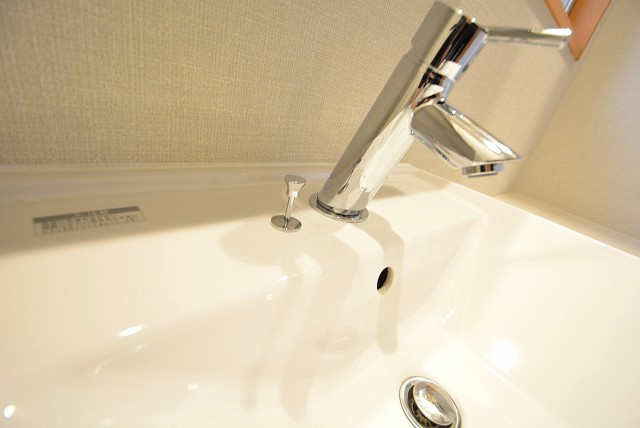 セボン柿の木坂 洗面