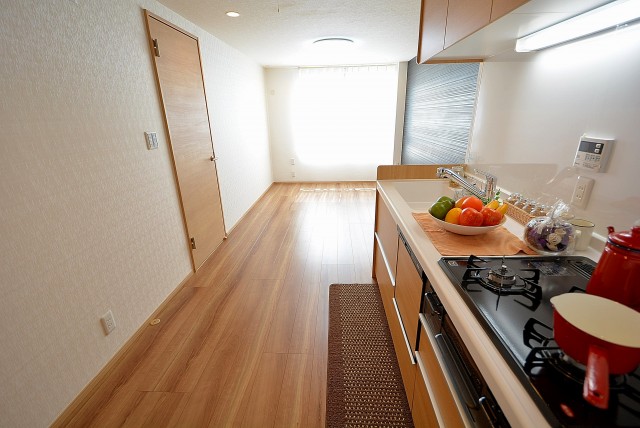 都立大第2コーポラス LDK