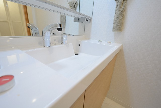 経堂セントラルマンション 　洗面