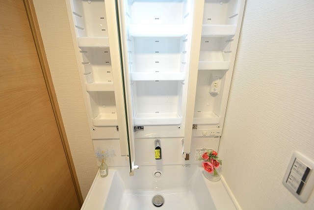 都立大第2コーポラス 洗面