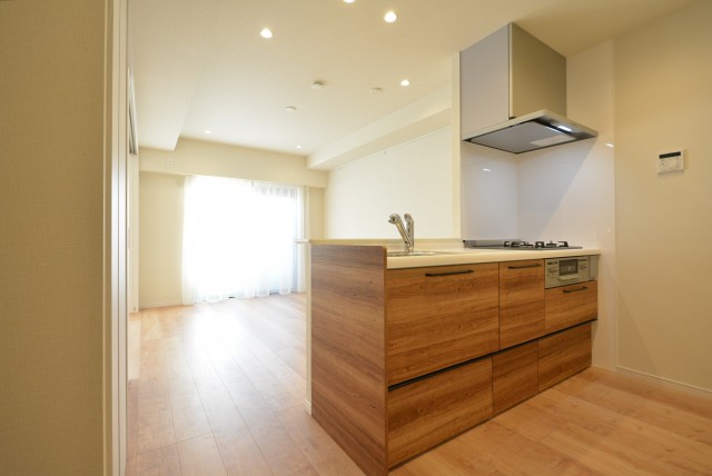 ライオンズマンション上用賀 LDK+洋室1