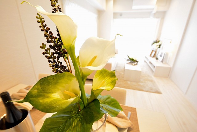 啓明宮前橋マンション LDK