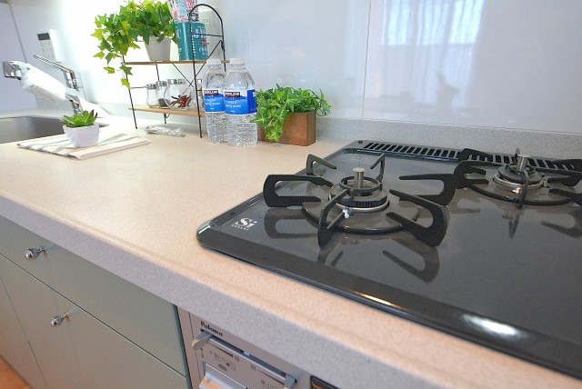 ジェイパーク桜新町LDK