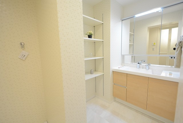 経堂セントラルマンション 　洗面