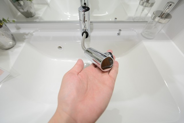 都立大バロンズコート 洗面