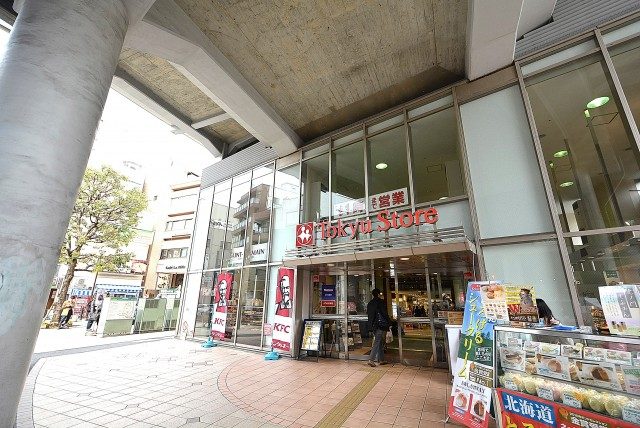 都立大第2コーポラス 周辺環境