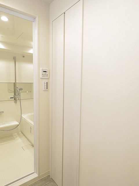 豊栄平町マンション　洗面室収納