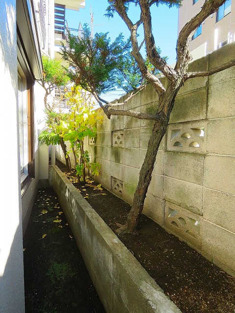 豊栄平町マンション　LDK側庭